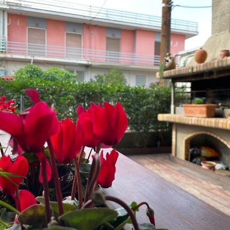 Triptolemus Stay Inn Eleusis Exterior foto